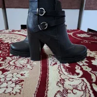 بوت مجلسی|کیف، کفش، کمربند|نهاوند, |دیوار