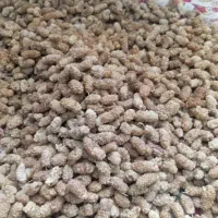 توت خشک شمرون درجه 1و2