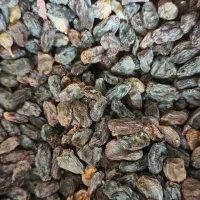 کشمش آفتابی بوانات درجه 1وبادام سنگی آبی بوانات
