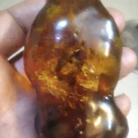 سنگ راف وبا ارزش