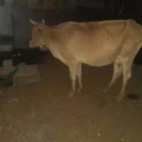۴۳۰،۰۰۰،۰۰۰