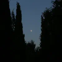 آموزش مفهومی هنر عکاسی