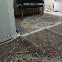 نظافتچی خانم