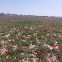 فروش منزل