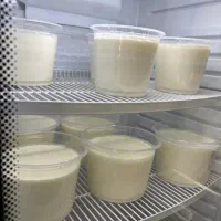 لبنیات