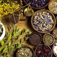 دمنوش های دکتر بیز/درمان کننده/گیاهی/دارویی