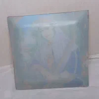 سینی|ظروف سرو و پذیرایی|بندر انزلی, طالب آباد|دیوار