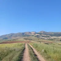 ۱۰۰۰متر زمین