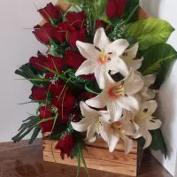 دسته گل نو نو