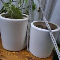 لوازم منزل گلدون ،فرش ،بارفیکس،کارواش