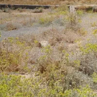 فروش-161متر-زمین-ساختمانی-روستای-باباقلی