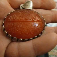 گردنی