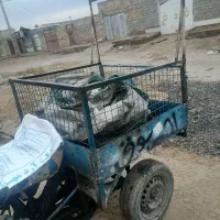 بودی سه چرخه