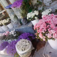 انجام امورات منزل