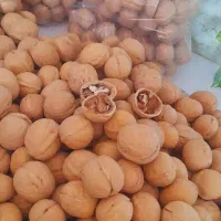 خوراکی|خوردنی و آشامیدنی|دزفول, |دیوار