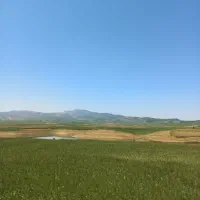 رهن-خانه-ویلایی-در-مفتح