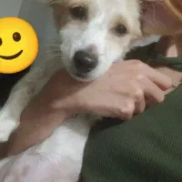 پاکوتا 5 ماهه