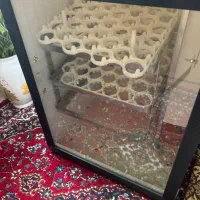 دستگاه جوجه کشی