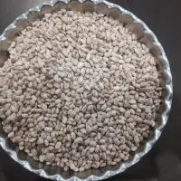 لوبیاچیتی ارتشی کیلویی۲۲۵