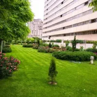 مشارکت در ساخت تخصص ماست چندین پلاک خاص