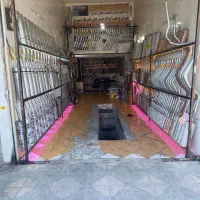 اگزوز