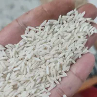 فروش برنج هاشمی به مقدار ۴۰۰ کیلو