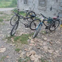 3 عدد دوچرخه