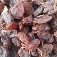 کشمش آفتابی درجه یک