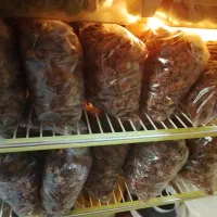 بسته