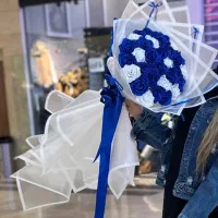 مناسبترین باکیفیترین