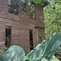 با ویلاهای جنگلی ما لحظات رویایی بسازید