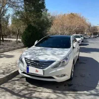 سوناتا وای اف ۲۰۱۱تک برگ بدون رنگ