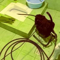 لوله بازکنی بهشتی حاجی زاده هفت تیر کیوانفر امام