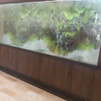 اکواریوم 30*60*180