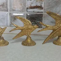 پرستو برنزیی