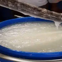 تگزاپن N75