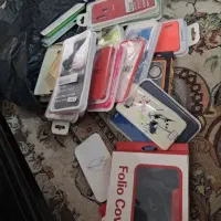 تعداد زیادی قای گوشی