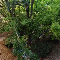 باغ-ویلا-دربست-در-شهر-زیبای-درود