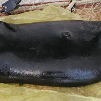 مشک آب