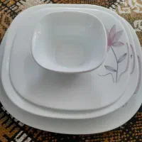 ارکوپال ۲۴ نفره