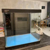 آکواریوم شرکتی خوش سایز