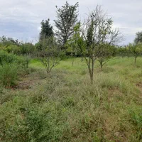 فروش زمین