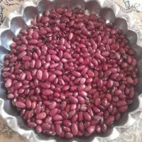 باسلام لوبیا قرمز تازه درجه یک قیمت کیلو ۲۵۰ کرونی