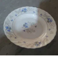 بشقاب گود آرکوپال نو