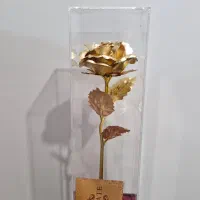 گل رز طلایی