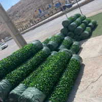 مرکز گرینوال چمن فنسی