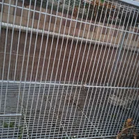 قفس پرنده ،سگ