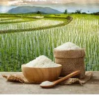 تخم چلتوک نواباد ممسنی