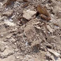 کود بوقلمون و مرغ ( ریقنه ) ۲ تن