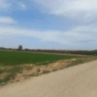 قطعه زمین باغی